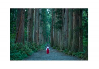 プロによるハイクオリティーな写真に特化したストックフォトサイト「NAIS PICTURES」