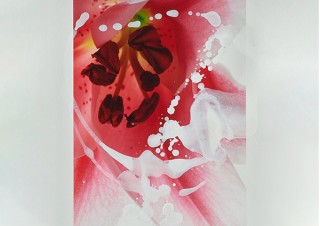 安田奈緒子氏と林雅之氏の共作で絵画と写真を融合させた作品を展示販売する「Overlap」展