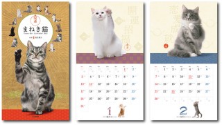 いろんな猫が「運」をまねく！ リアルまねき猫カレンダー「ヤマケイカレンダー2021 開運まねき猫」