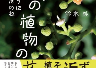 気になるフォント、知りたいフォント。 書籍『そんなふうに生きていたのね　まちの植物のせかい／鈴木純』（2020.10.15）