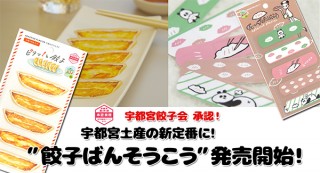 宇都宮発！ 手土産にしたい「餃子絆創膏」発売