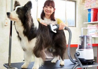 わんこをブラッシングしつつ抜け毛を吸い取る犬用掃除機「OFT DOG CLEANER」