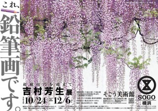 鉛筆での細密描写などで知られる吉村芳生氏の回顧展「超絶技巧を超えて」