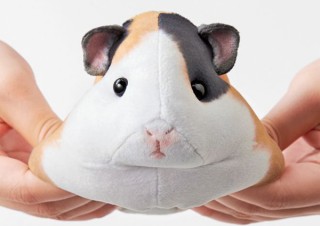 キョトン顔が愛おしいフェリシモの「モルモットのもっちりポーチ」