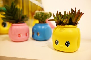 あの「フエキのり」が植木鉢に！？ 新感覚プランツ「フエ木屋さん」シリーズ登場