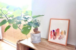気に入った展示絵画をその場で借りることができる展覧会「借りるアート展」