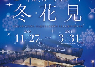イルミネーション「冬花見」を開催中のところざわサクラタウンで冬の写真コンテストがスタート