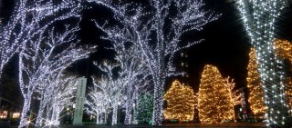 幻想的な冬の京都が演出される「京セラ本社イルミネーション2020」