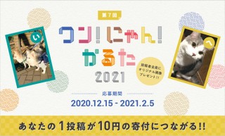 うちの子が“かるた”になる！「第7回 ワン！にゃん！かるた」投稿キャンペーン。動物福祉への貢献にも