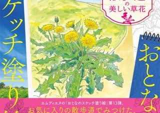 季節の可憐な花々を描いた、スケッチ感覚の塗り絵集「おとなのスケッチ塗り絵　散歩道の美しい草花」