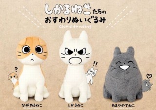 ヴィレヴァン、「しかるねこ」たちをぬいぐるみ化した「おすわりぬいぐるみ」発売