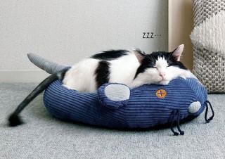 フェリシモ、しっぽをにぎると耳がピコピコ動くネズミ型ペット用ベッドを発売