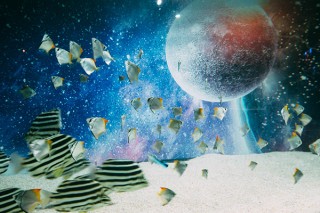 横浜ワールドポーターズに「アクアリウム宇宙旅行 UNDER WATER SPACE」がオープン