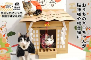 老舗ダンボールメーカーのプロ設計士が開発したダンボール製「ネコ神社ハウス」が発売
