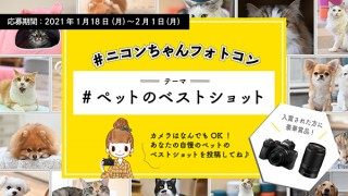 ニコンが「ペットのベストショット」をテーマとしたTwitterフォトコンテストを開始