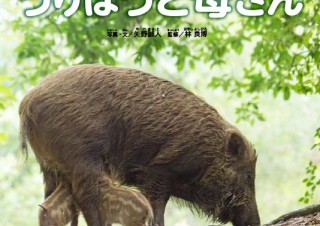 第1回“日本写真絵本大賞”の金賞を受賞した「うりぼうと母さん」の出版記念写真展が開催