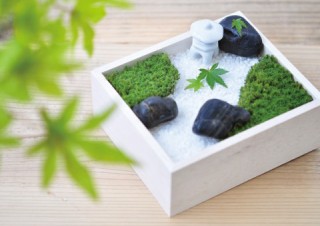 ヴィレヴァン、苔を自宅で栽培できるミニチュア日本庭園「苔盆」を発売