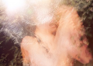 穴やスリットを加えたプリントを再撮影して“光”や“美”を表現する澄毅氏の写真展「halo」