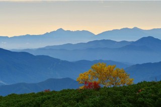 ニコンのフルサイズミラーレス機での作品を楽しめる写真展「THE NEXT CHAPTER －Zは、新境地へ。」