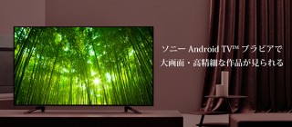 ソニー、ブラビアで視聴できるオンラインギャラリー「Creative Gallery on BRAVIA」を開設