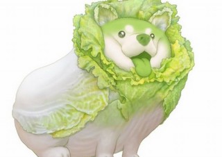 お野菜と動物が合体した「おやさい妖精さん」、ヴィレヴァンコラボグッズが限定発売