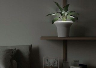 ヴィレヴァン、間接照明のように光る植木鉢「オーラ　プランター」を発売