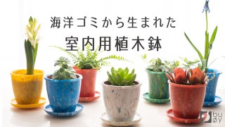 テクノラボ、海洋プラスチックごみを材料にした室内用ミニ植木鉢「buoyプランツポット」を発売
