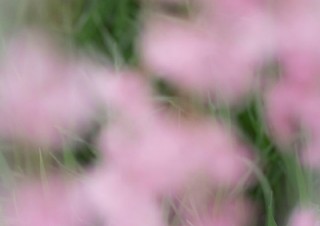 “自然や命への気づき”を発信する若手写真家の萩原れいこ氏による初個展「Heart of Nature」