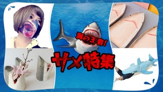 ヴィレヴァン、ジンベエザメブランケットやサメのマグカップなどサメグッズ特集を開催