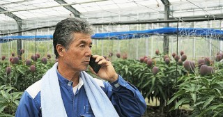 KDDIウェブ、畑の異常を電話で知らせる農業IoT「てるちゃん」をリリース
