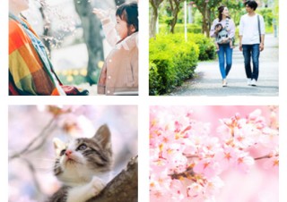 東京・神奈川・千葉・埼玉の一都三県を撮影対象エリアとした「わたしの街の春 フォトコンテスト」