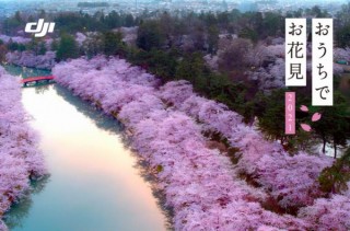 DJI、ドローン空撮した桜の絶景をリレー形式で楽しめる「DJIとおうちでお花見 2021」開催