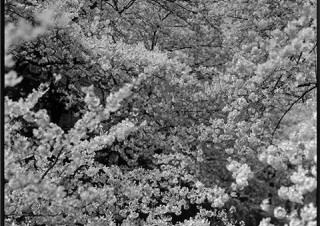 超大型カメラを持って旅と撮影を続けている三好耕三氏の作品展「SHASHIN 写真」