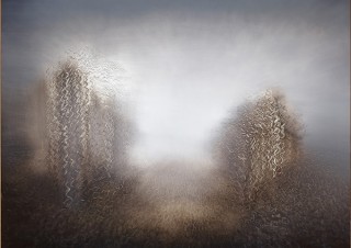 “世界の見方”にこだわって日中で精力的に活動する芸術家の個展「王舒野展－非認識的視覚の瞬間」