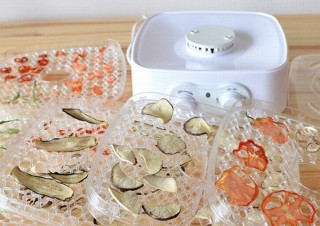 部屋でビーフジャーキーやドライフルーツ作り放題の「ドライフードメーカー」がヴィレヴァンから