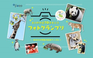 “I LOVE OJIZOO”をテーマに作品を募集している「王子動物園70周年記念フォトグランプリ」