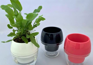 グンゼ、底面給水型ポット入り観葉植物「みずてまりん」を発売