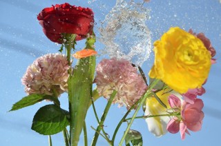 “水の流れ”への興味の昇華を試みる名雪晶子氏の初の写真展「コン・アニマ--魂を込めて、生き生きと」