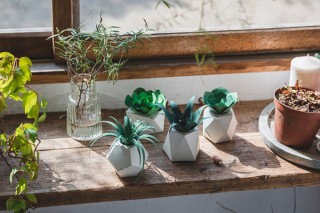 フラットルームとボグクラフト、植物モチーフの紙製インテリアアイテム「PAPELANTS」を発売