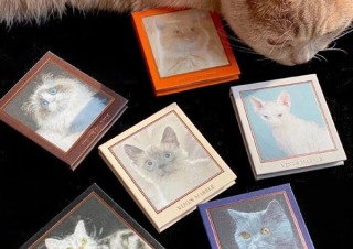 ヴィレヴァン、猫をモチーフにしたアイシャドウパレット「キャットシリーズ」を発売