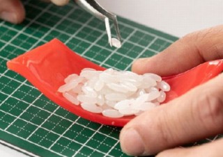米をひと粒ずつ364粒接着していくという狂気・根気が必要な「寿司プラモ」発売