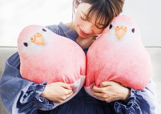 フェリシモ、湯たんぽを入れて小鳥の温もりを再現できる「もっちり愛らしいアキクサインコクッション」を発売