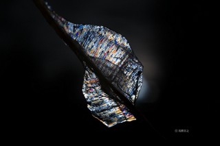 “水系の写真家”として森や川や海などの自然風景を撮影している高橋宣之氏の個展「神々の水系」