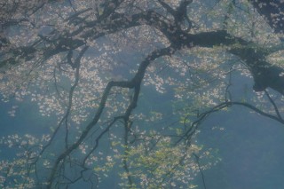 八ヶ岳を拠点に全国を巡って撮影を続けている井上嘉代子氏の写真展「美sit風景－奏－」