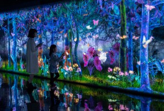 チームラボとKDDIがタッグを組んだ体験イベントの第2弾「捕まえて集める境界のない群蝶」