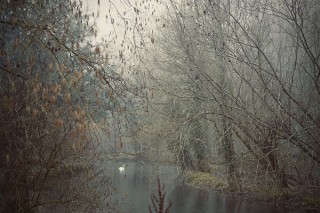 リコーのデジカメ“GRシリーズ”の開発者で“ミスターGR”の愛称でも親しまれる野口智弘氏の写真展