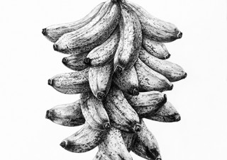 矩形に切り取られた絵画そのものや矩形自体をモチーフとした片山高志氏の個展「矩形の庭」