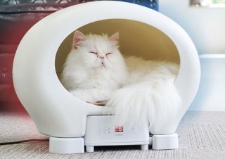 ペットに“夏はひんやり、冬はあったか”をあげる「アニマルカプセルホテル」発売