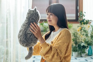パートナーズ、温度や大きさを再現した”ほぼ猫のようなクッション”「MeowEver」を発売