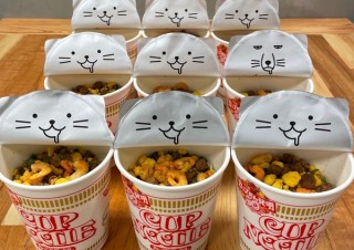 カップヌードル、開けてチベットスナギツネと遭遇は6％と公式発表